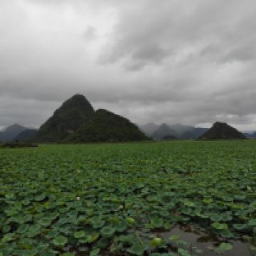評論圖片 3