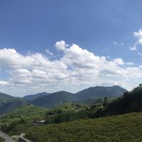 評論圖片 7