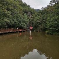 評論圖片 7