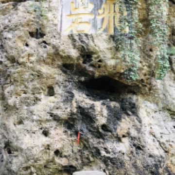 評論圖片 4