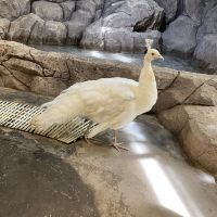 評論圖片 7
