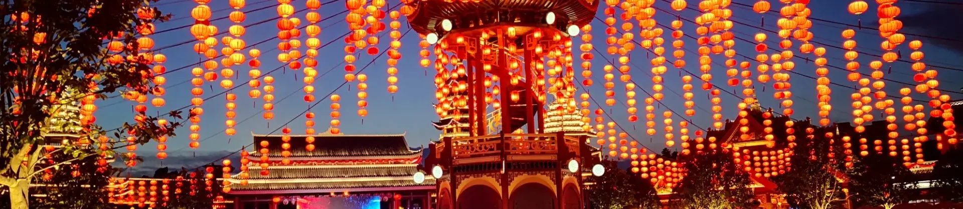 Night Attractions