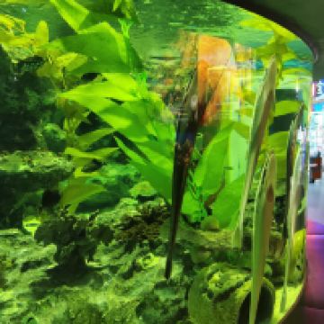 評論圖片 6
