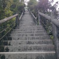 評論圖片 9