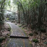 評論圖片 3