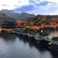 評論圖片 3