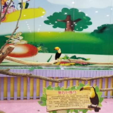 評論圖片 4