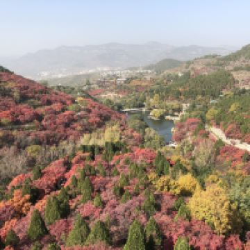 評論圖片 2