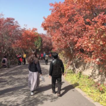 評論圖片 3
