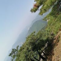 評論圖片 3