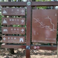 評論圖片 7
