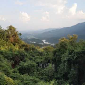 評論圖片 2