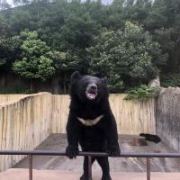評論圖片 2