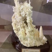 評論圖片 2