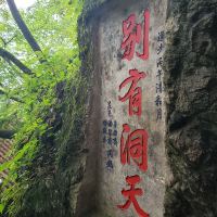 評論圖片 7