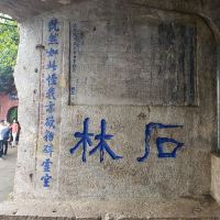 評論圖片 6