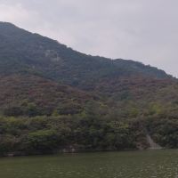 評論圖片 4