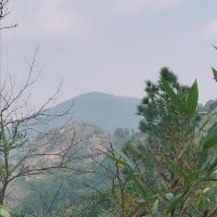評論圖片 5