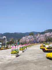 Huanglong Yihao Ecological Garden