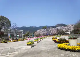 Huanglong Yihao Ecological Garden
