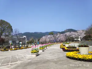 Huanglong Yihao Ecological Garden