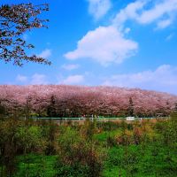 評論圖片 1