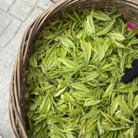 評論圖片 7