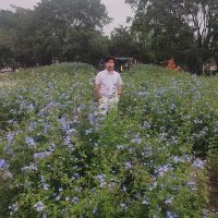 評論圖片 3