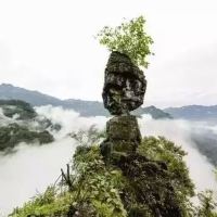 評論圖片 2