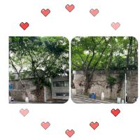 評論圖片 8