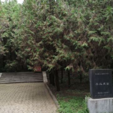 評論圖片 7