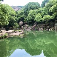 評論圖片 4