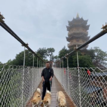 評論圖片 5