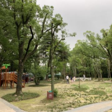 評論圖片 6