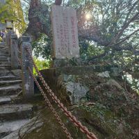 評論圖片 4