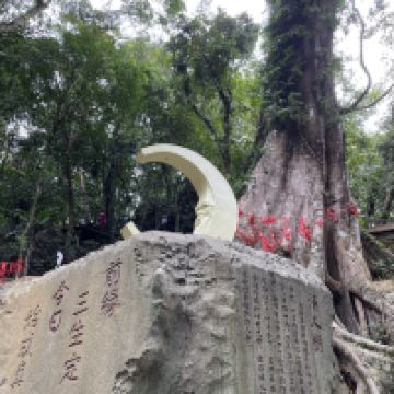 評論圖片 4