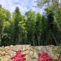 評論圖片 1