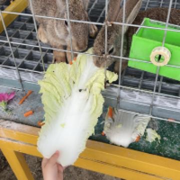 評論圖片 2