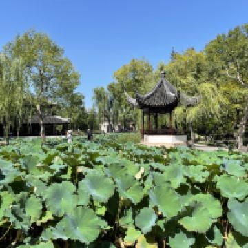 評論圖片 5