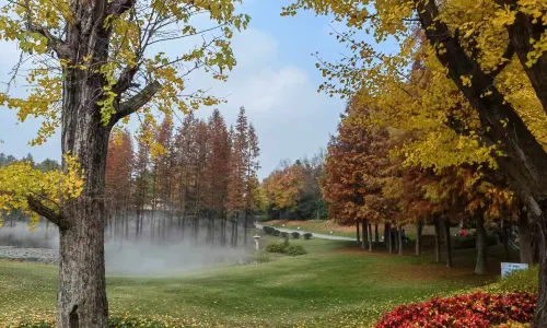 Ginkgo Lake Park