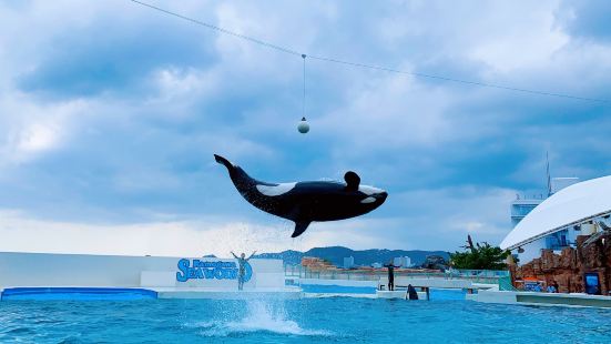 鴨川シーワールドの写真 鴨川市の観光スポットの写真 Tripメモリー