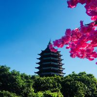 評論圖片 3