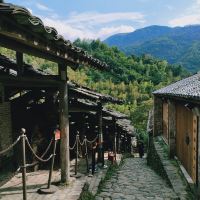 評論圖片 2