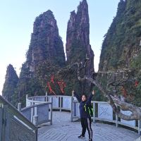 評論圖片 1