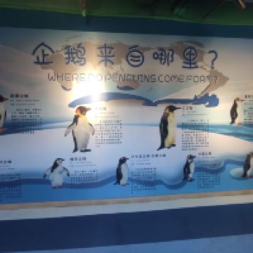 評論圖片 9