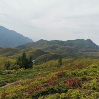 評論圖片 8