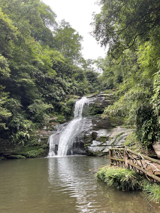 Bifengxia Giant Panda Base