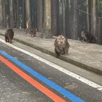 評論圖片 5