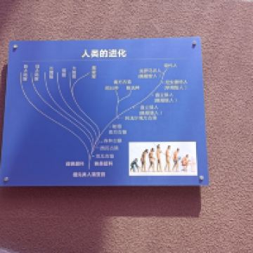 評論圖片 3