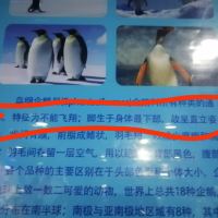 評論圖片 6